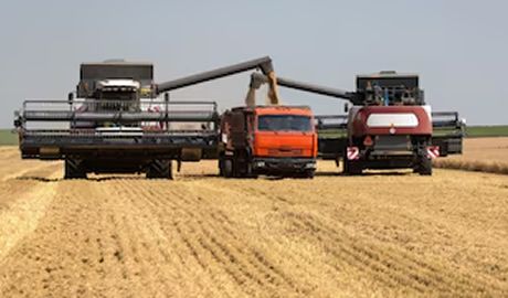 actividad económica cayó 1.3% en julio 2024