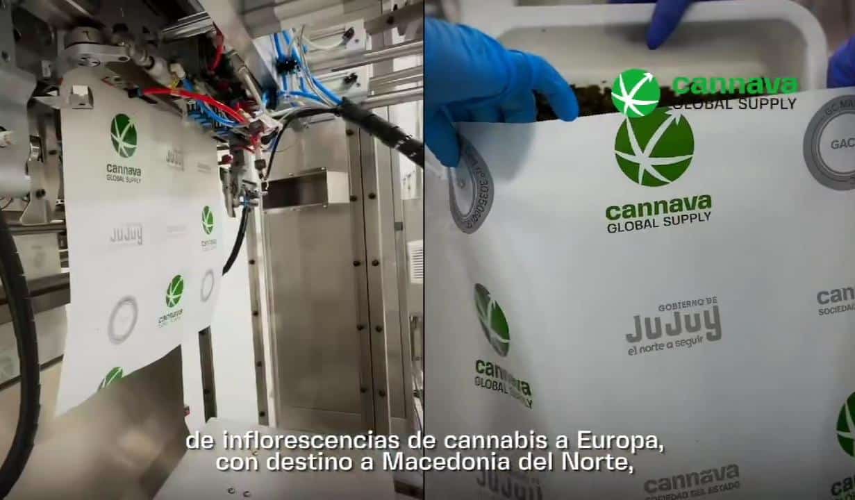 Exportación de Cannabis Medicinal desde Jujuy: Un Hito en la Industria