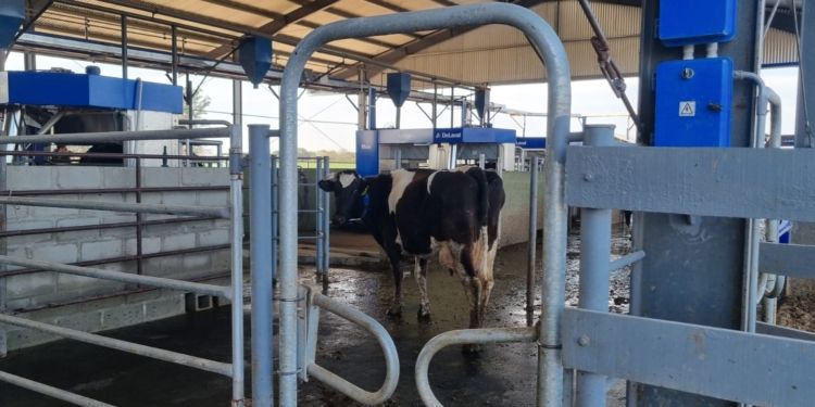 créditos para mejorar tambos
