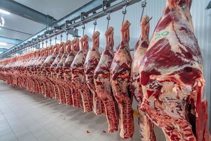 consumo de carnes en Argentina 2025