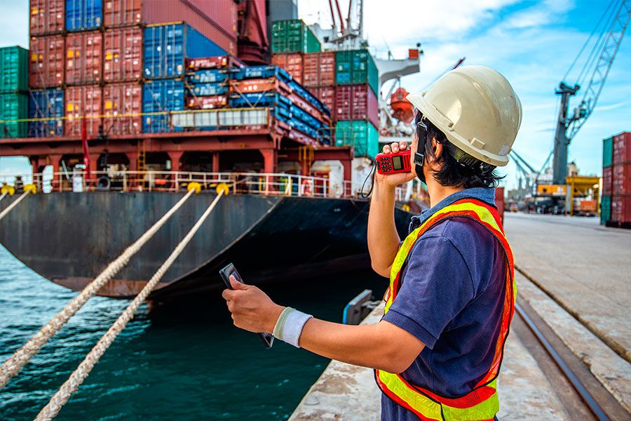 potencialidad del comercio exterior argentino