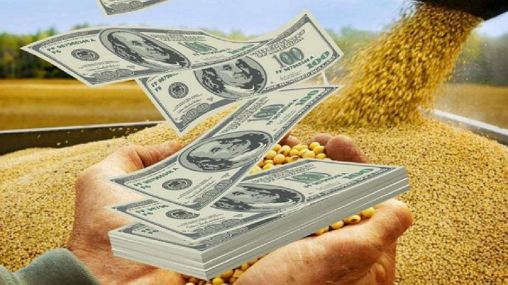 dolares-campo-soja-agrodolares