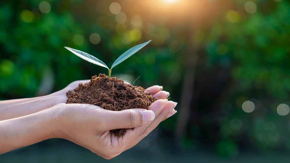 impunidad ambiental