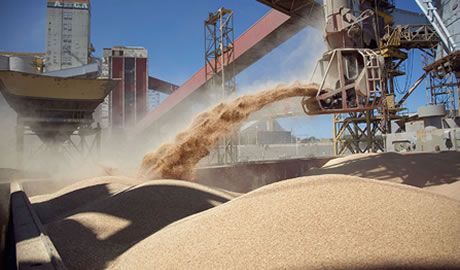 dólares de la minería la energía y el agro 2025