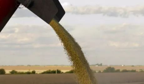 importación temporaria de soja en septiembre