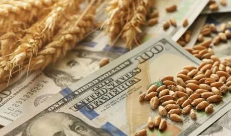 proyecciones exportaciones agro 2025