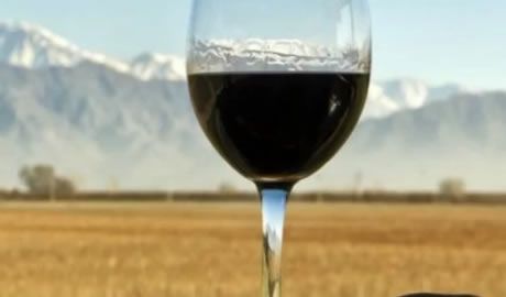 exportación de vinos de la Patagonia