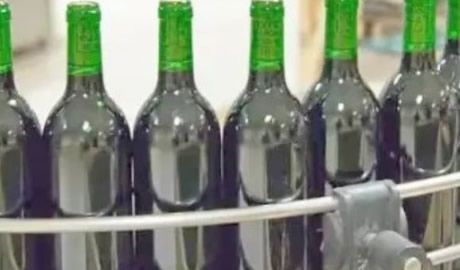crecimiento de exportaciones vitivinícolas en Argentina 2024