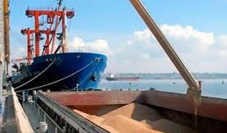 prórroga excepcional exportadores agrícolas crisis marítima