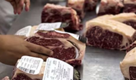 rentabilidad exportaciones agosto