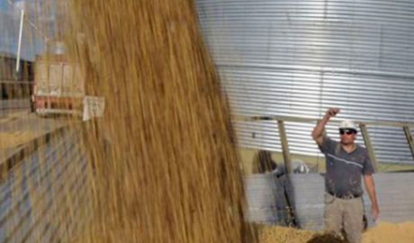 exportaciones de harina de soja en Argentina