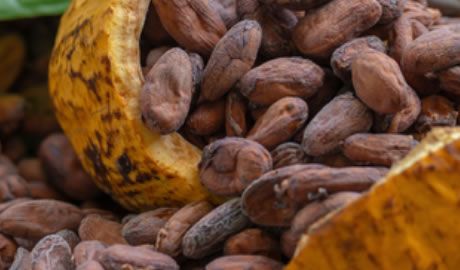 exportaciones agrícolas brasileñas