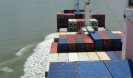 exportación de langostinos en Argentina