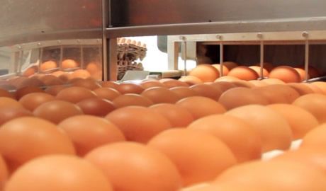 eliminar IVA fortalecer consumo interno