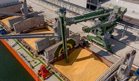 exportaciones Argentina ley europea deforestación