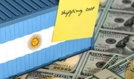 gobierno flexibiliza cepo importadores 2024