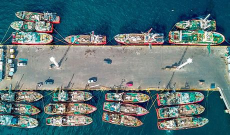muelles pesqueros Madryn expansión