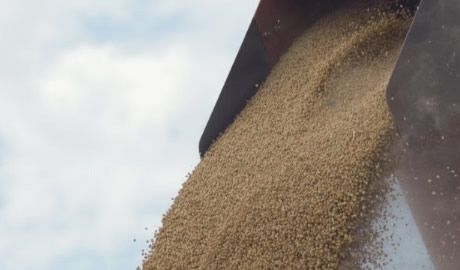 Nueva herramienta para exportaciones argentinas