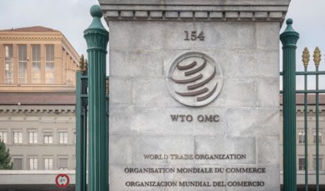 crecimiento global OMC 2024