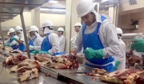 exportación de carne bovina