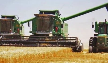 inscripciones exportar cebada trigo soja sorgo maíz China