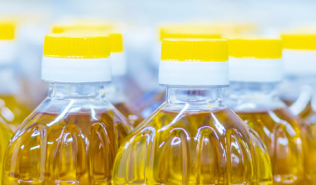 exportaciones de aceite de girasol en Argentina 2024