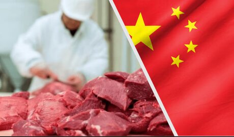 China incrementaría compras de carne