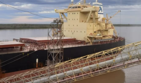Argentina tercer exportador neto de alimentos