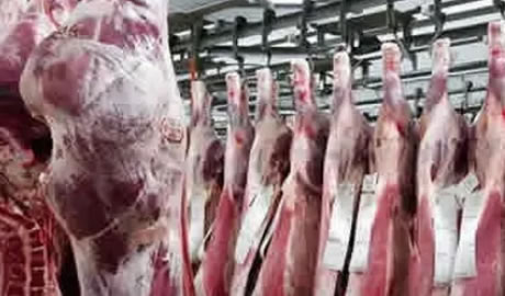 exportación de carne bovina a Japón