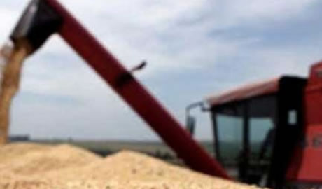 Argentina exportaciones a la Unión Europea