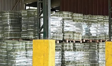 exportación fardos alfalfa premium San Luis Centroamérica