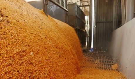 alimentos argentinos demandados en el mundo