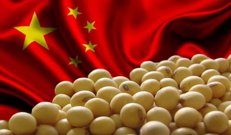 China rompe récord de importaciones de soja en 2025: Sudamérica se consolida como proveedor clave
