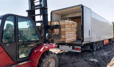 volumen de exportaciones de madera