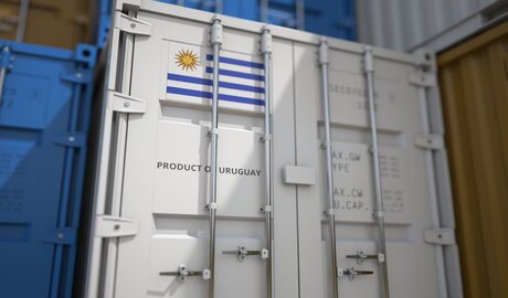 exportaciones uruguayas a argentina 2024