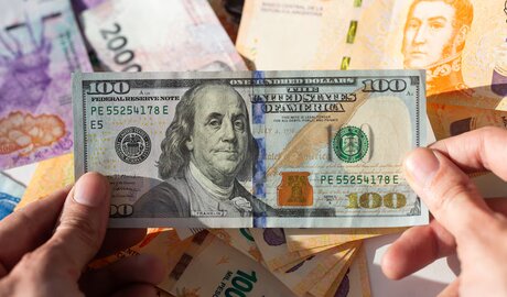 Milei primer año gestión críticas competencia de monedas