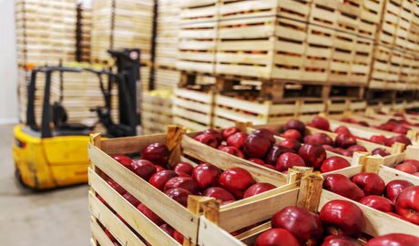 exportaciones de pymes argentinas 2024