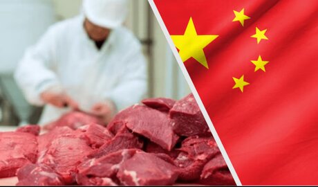 China en el negocio de la carne