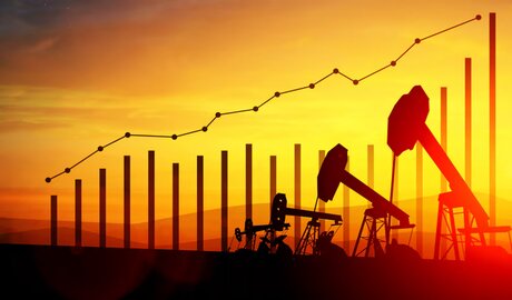 Argentina saldo positivo balanza comercial energética