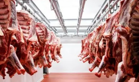 Cupón de Exportación de Carne Vacuna a EEUU: Nuevos Límites 2025