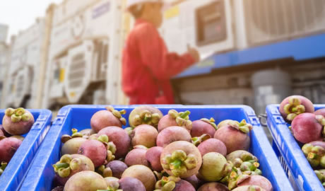 Suman facilidades para la importación y exportación de alimentos
