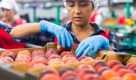 Exportaciones Argentinas Crecimiento Impulsará la Economía