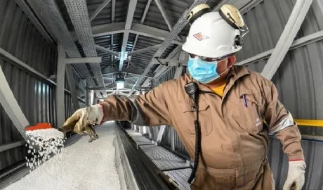 Exportaciones de Químicos y Petroquímicos en Argentina: Crecimiento y Mercado