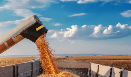Las exportaciones del complejo agroindustrial subieron 26% en 2024