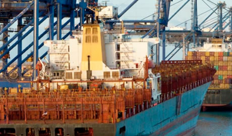 Exportaciones agroindustriales crecieron más del 55% en 2024