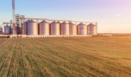 De los 10 principales complejos exportadores, 7 son agroindustriales y están perdiendo competitividad con Brasil
