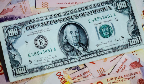 Milei defiende el dólar