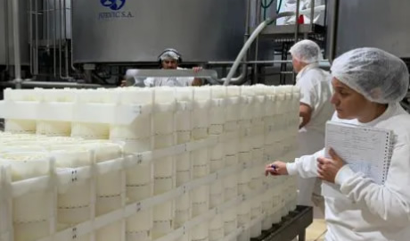Se certificaron 550 toneladas de quesos de exportación producidos en Córdoba