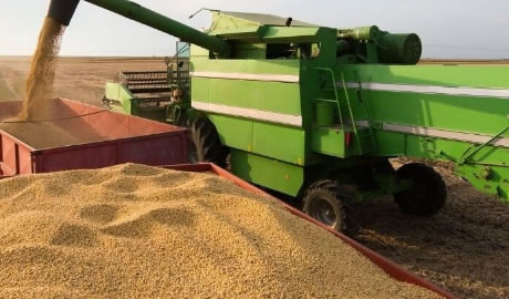 Cómo el acuerdo entre Mercosur y la Unión Europea impactará en el campo argentino