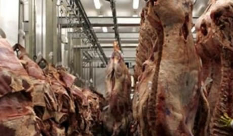 récord de divisas en la carne